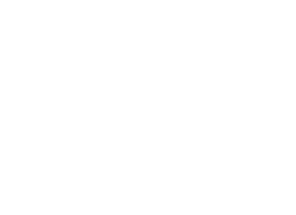 IECharge