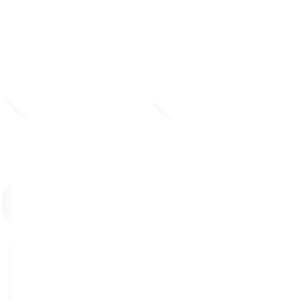 Cargo Buddy